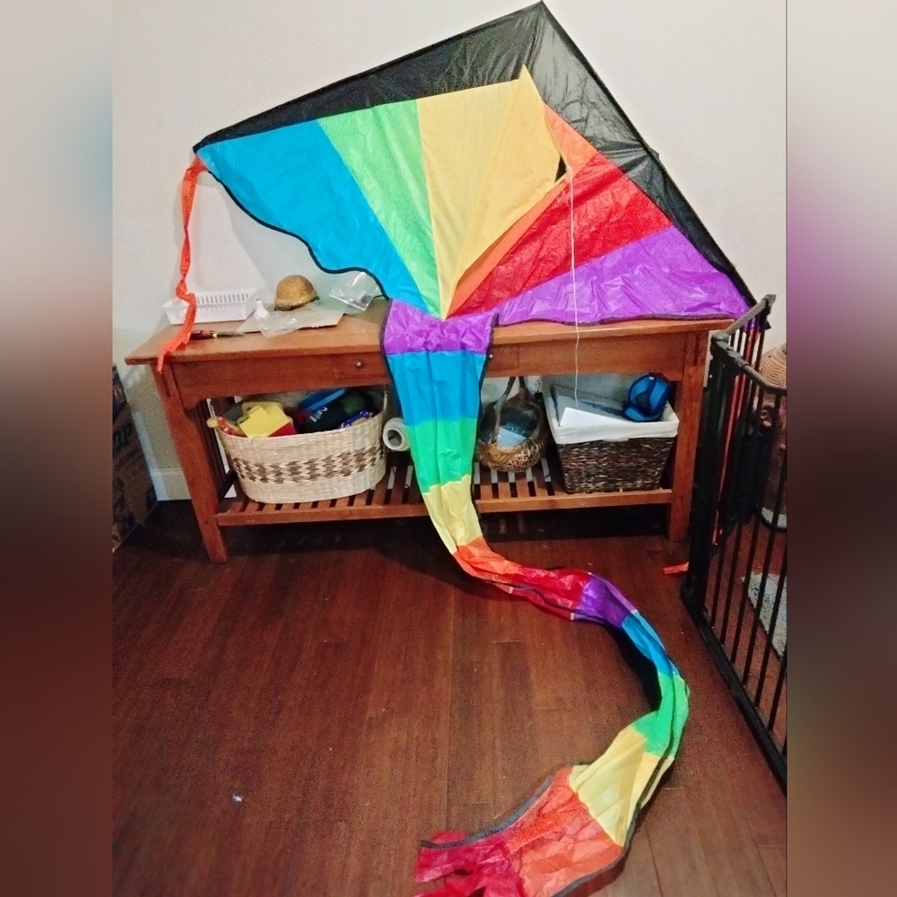 Magnificent Large Kite